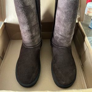 Bear Paw Sheepskin tall boots